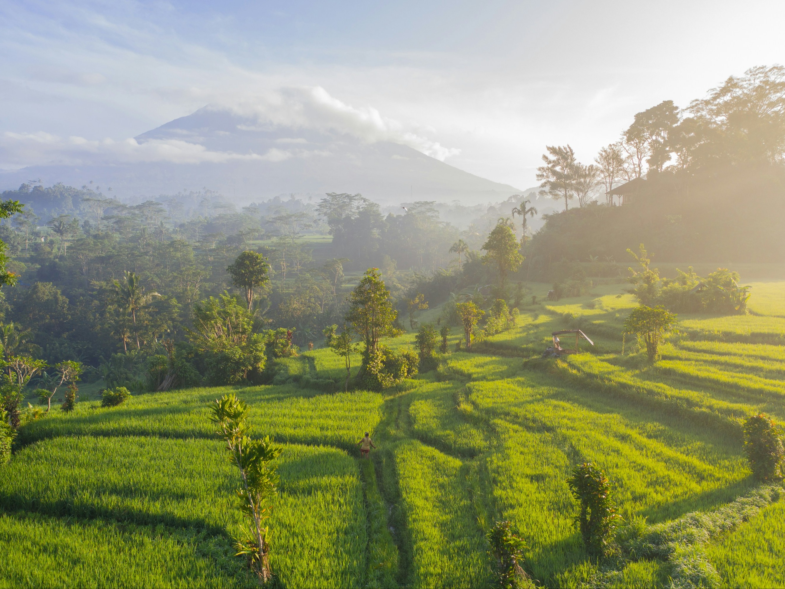 ARTICLE_COMBIEN_COUTE_UN_VOYAGE_A_BALI_listing