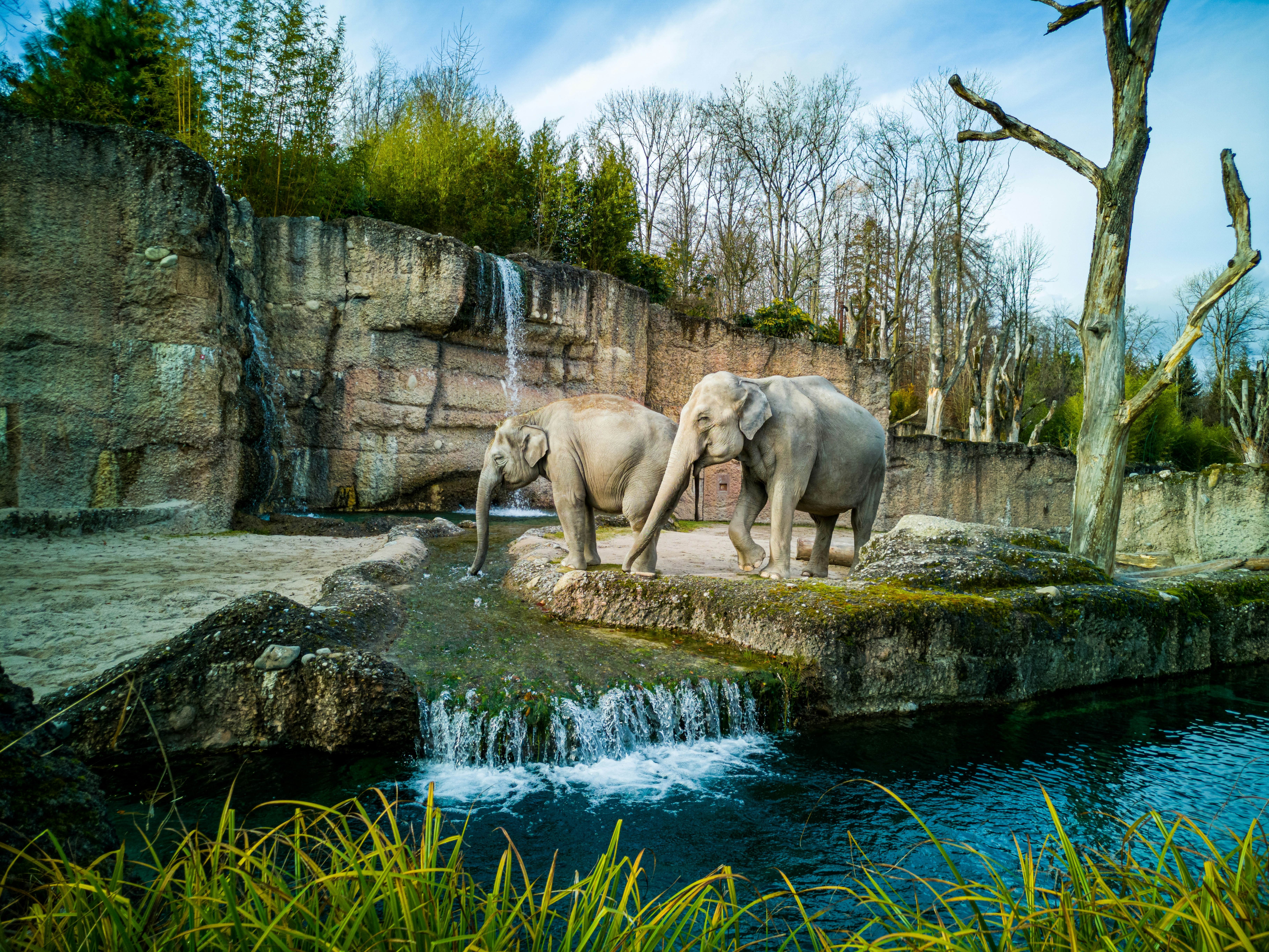 ARTICLE_QUEL_ZOO_VISITER_EN_FRANCE_listing