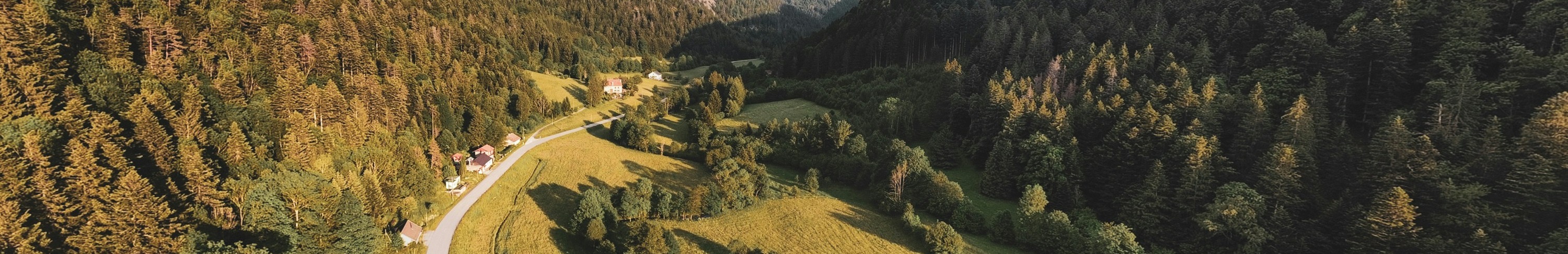 Vue aérienne d'une route au milieu des collines.