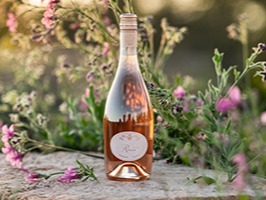 VINS_ET_SPIRITUEUX_listing