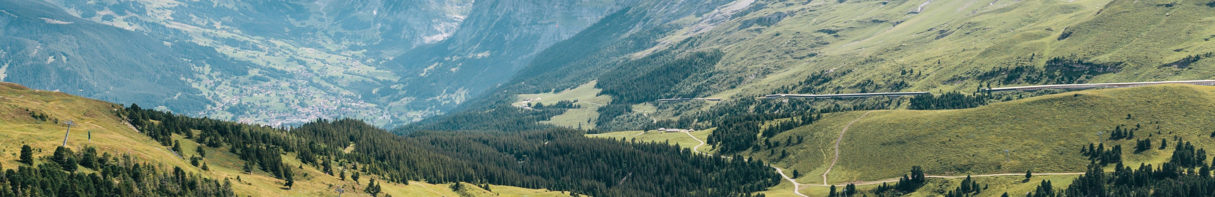 Montagnes verdoyantes.