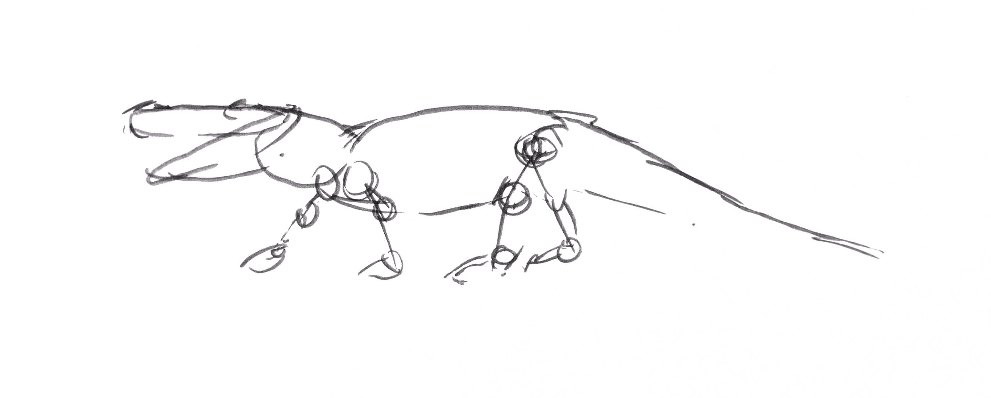 asset A slightly more complex crocodile illustration