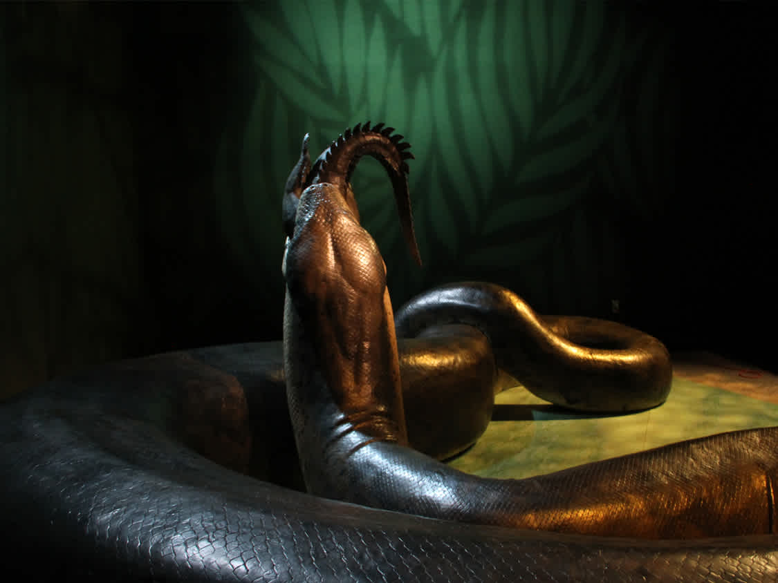 Image of a Titanoboa snake cast recreation