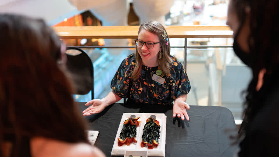 At the annual Science Celebration at the Science Museum of Minnesota, attendees meet
scientists from the Center for Research and Collections and see rarely seen pieces of its
world-class collections - specimens that showcase Earth’s remarkable biodiversity.