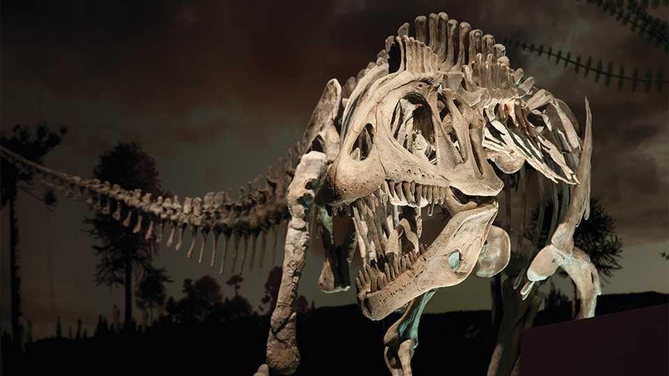 Giant T-rex replica