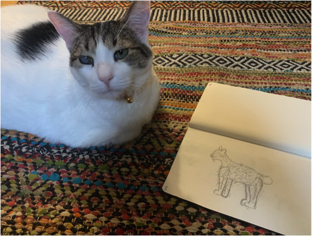A hand-drawn picture of a cat next to a live cat. 