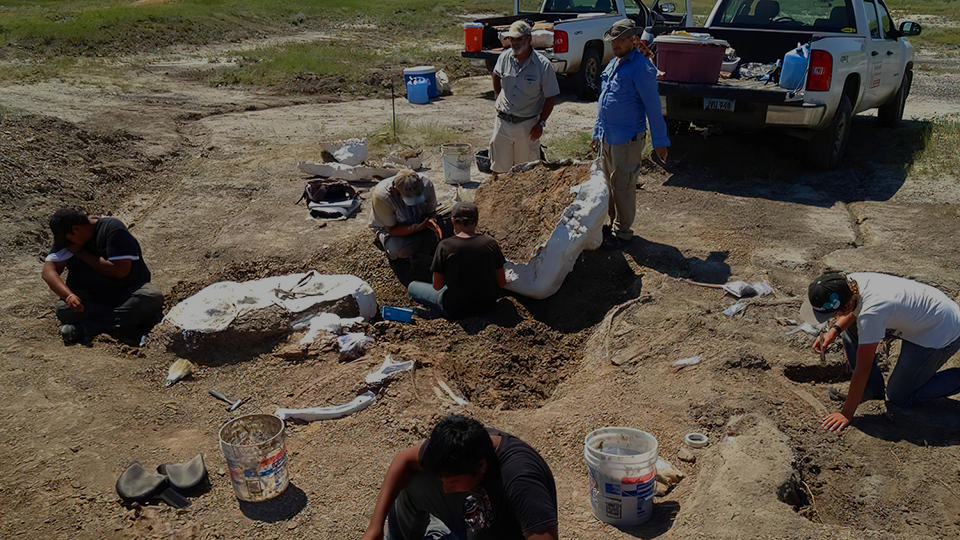 "Standing Rock Institute of Natural History