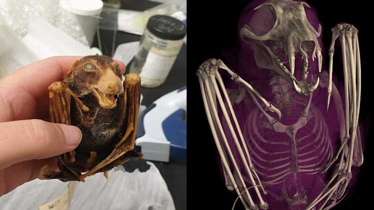 To date, scientists have used oVert data in more than 200 peer-reviewed publications.