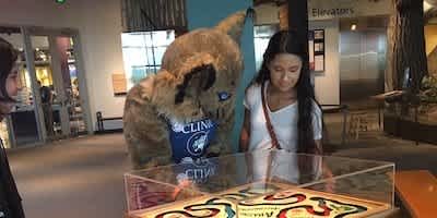 Minnesota Lynx mascot and a visitor exploring the exhibits. 