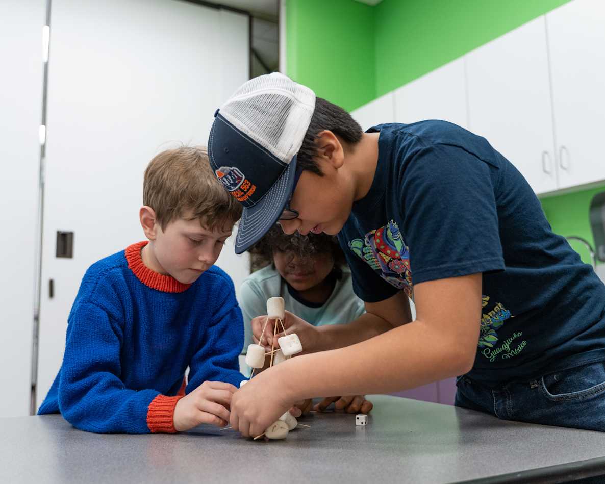 asset embedded media asset