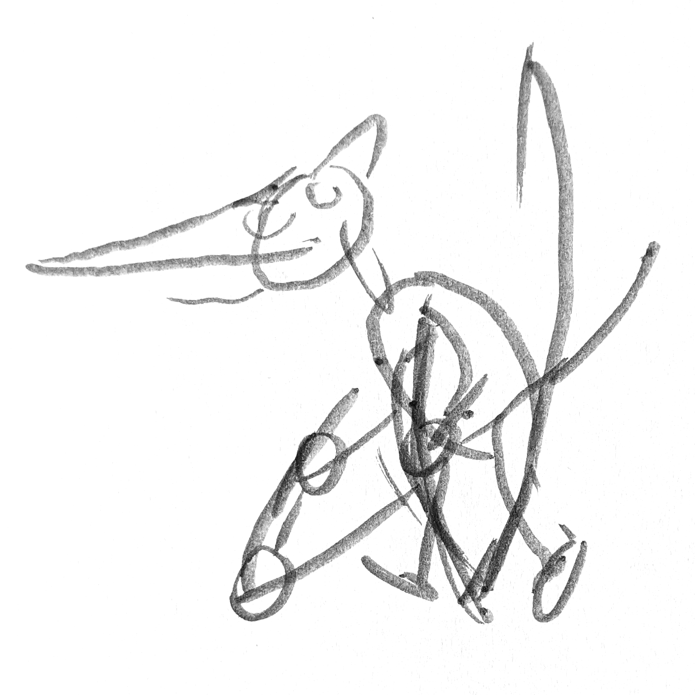 A Pteranodon drawing with slightly more detail