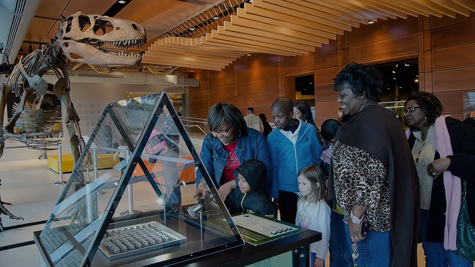 Visitors interacting with an exhibit