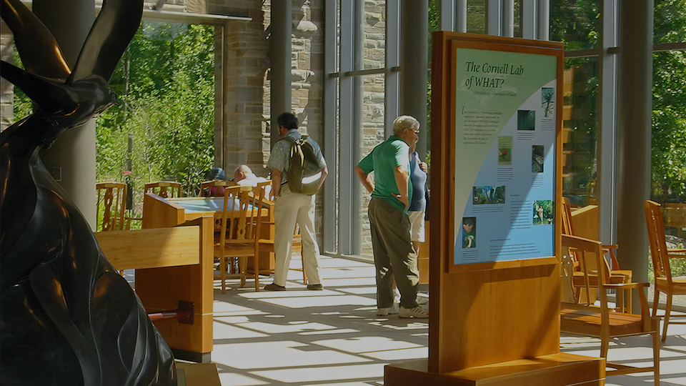 Visitors read placards at the Cornell Lab of Ornithology. 