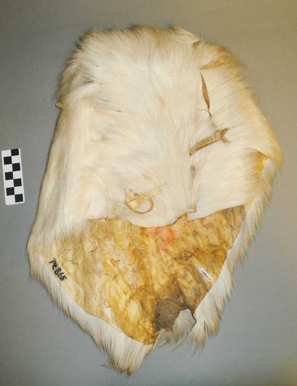 collections/objects/mask-a2006-6-13