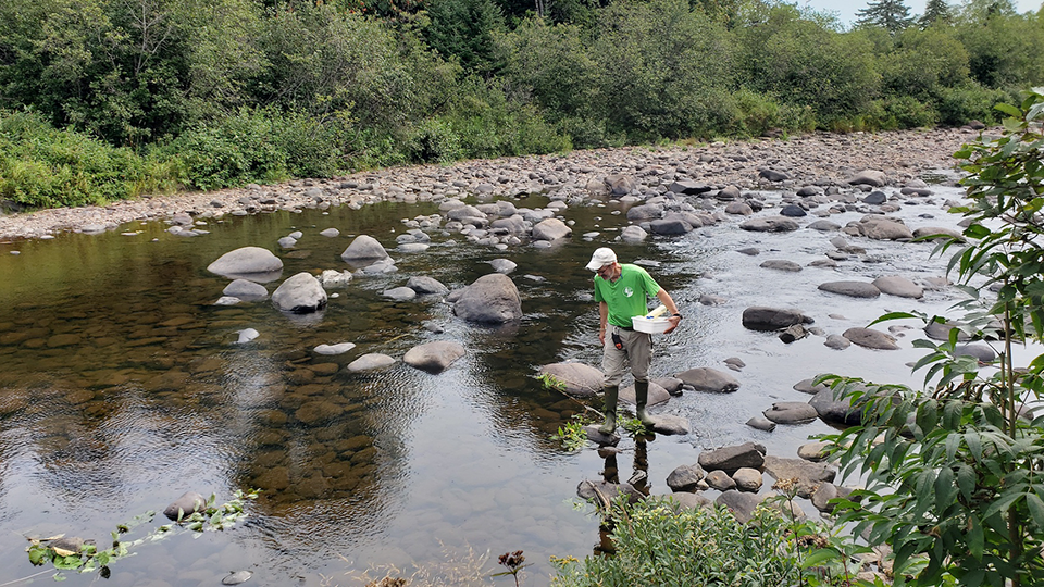 Image of Mark Edlund in a river