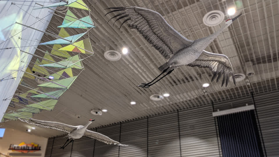 Two sandhill crane art installations in the Science Museum lobby