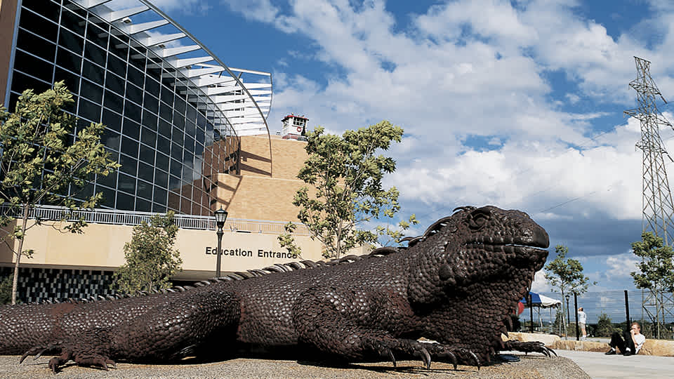 Iggy lizard statue at the Education Entrance