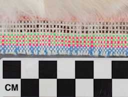 collections/objects/shirt-a77-1-136