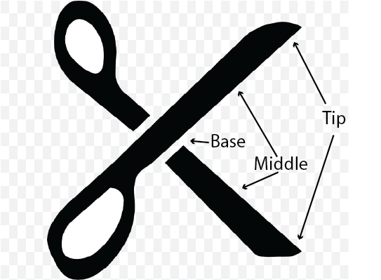 Image of scissors that reads "Base, Middle, Tip"