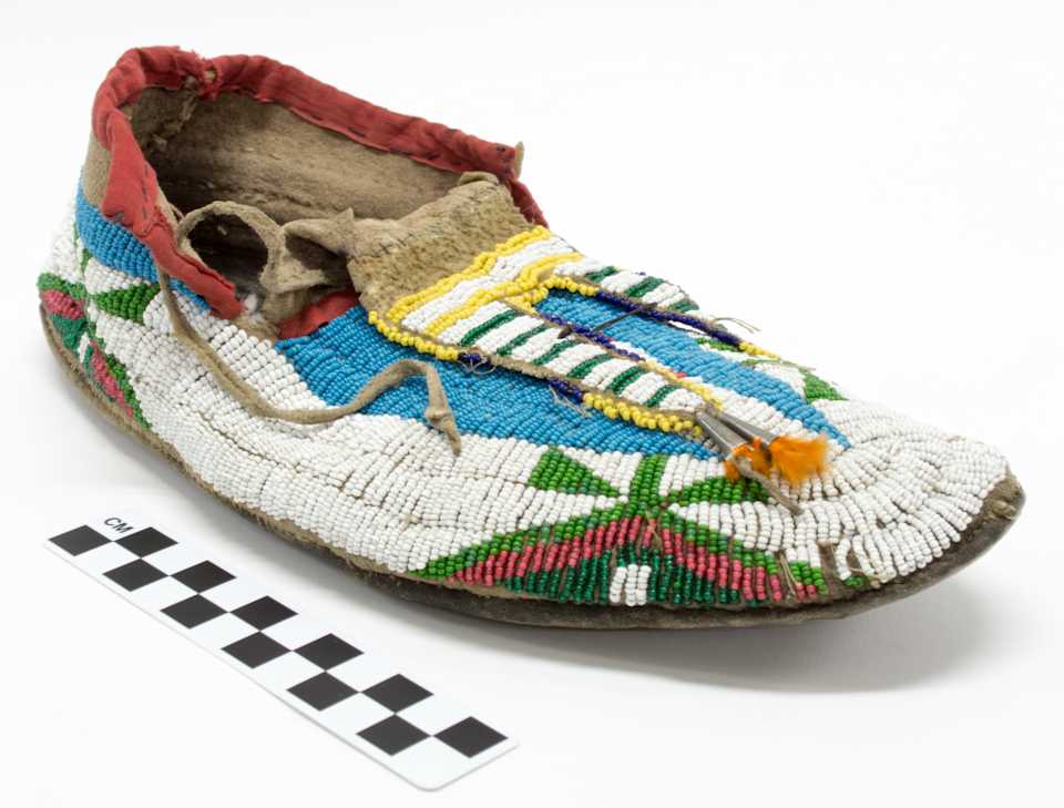 collections/objects/shoe-1-1021b