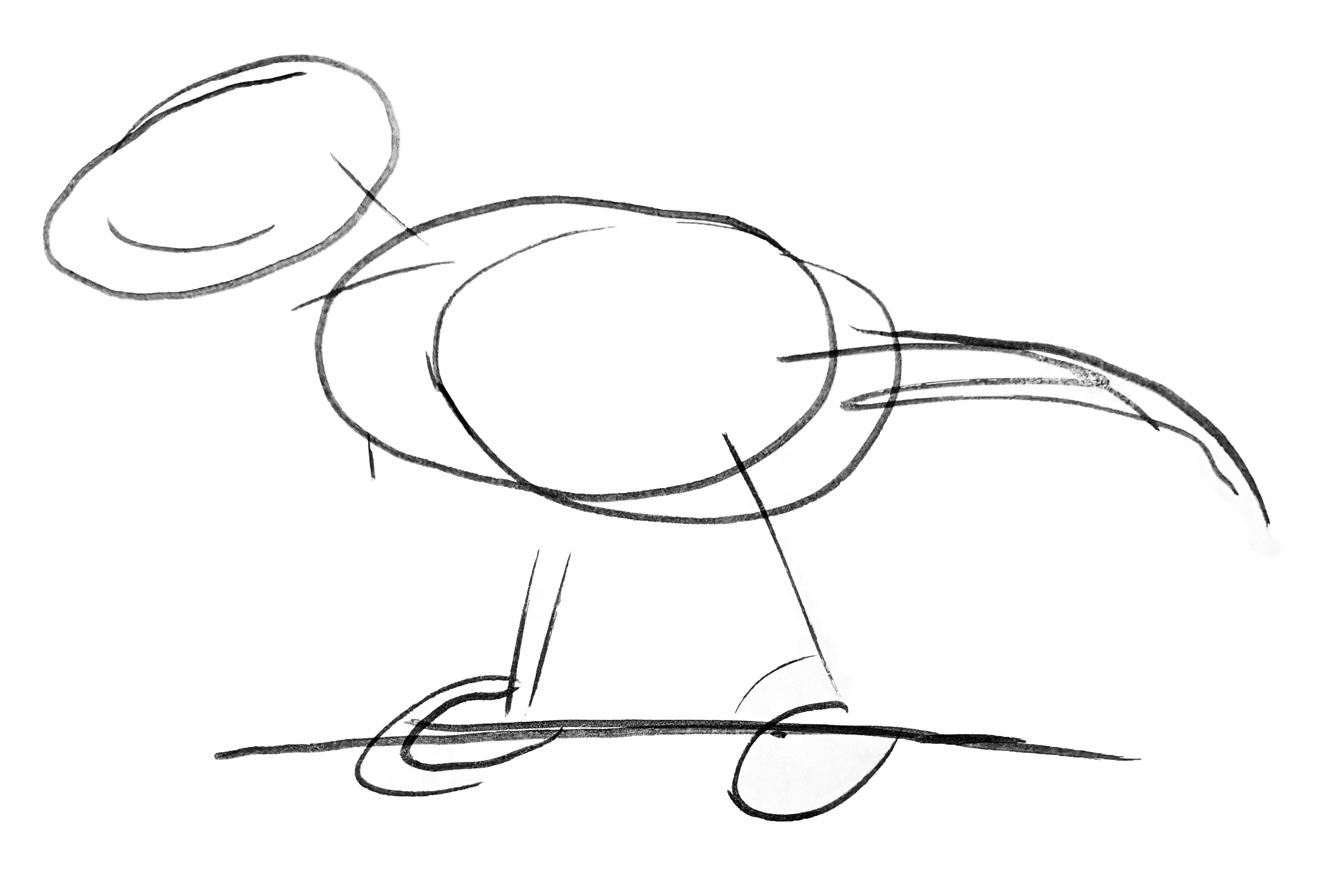 Rough sketch of a T. rex dinosaur