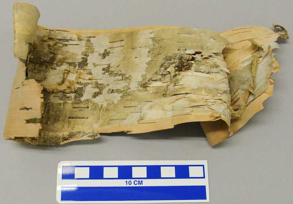 collections/objects/bark-58-193