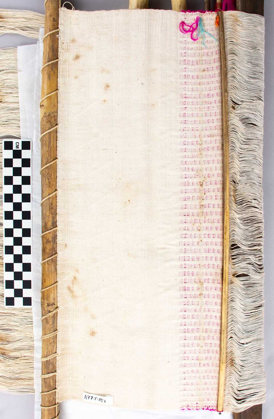 collections/objects/cloth-a77-1-115l