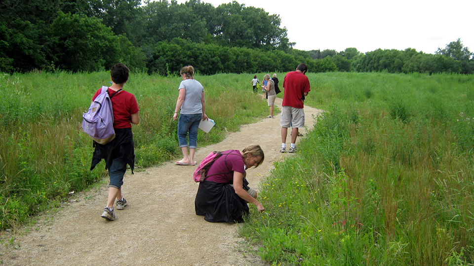 A group activity in a field.