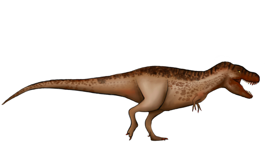 Illustration of a Tyrannosaurus rex