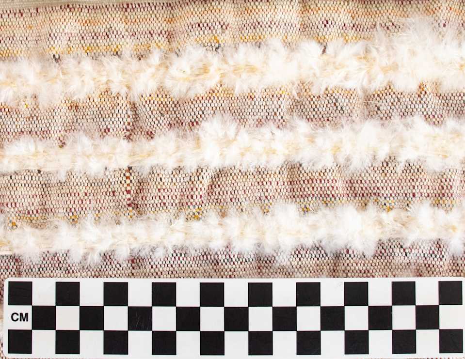 collections/objects/shirt-a89-1-17