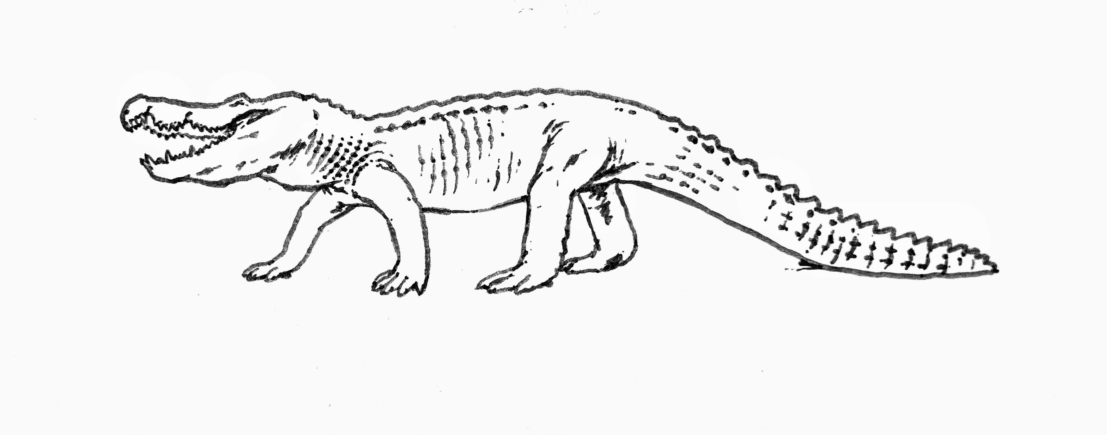 Final details for Borealosuchus