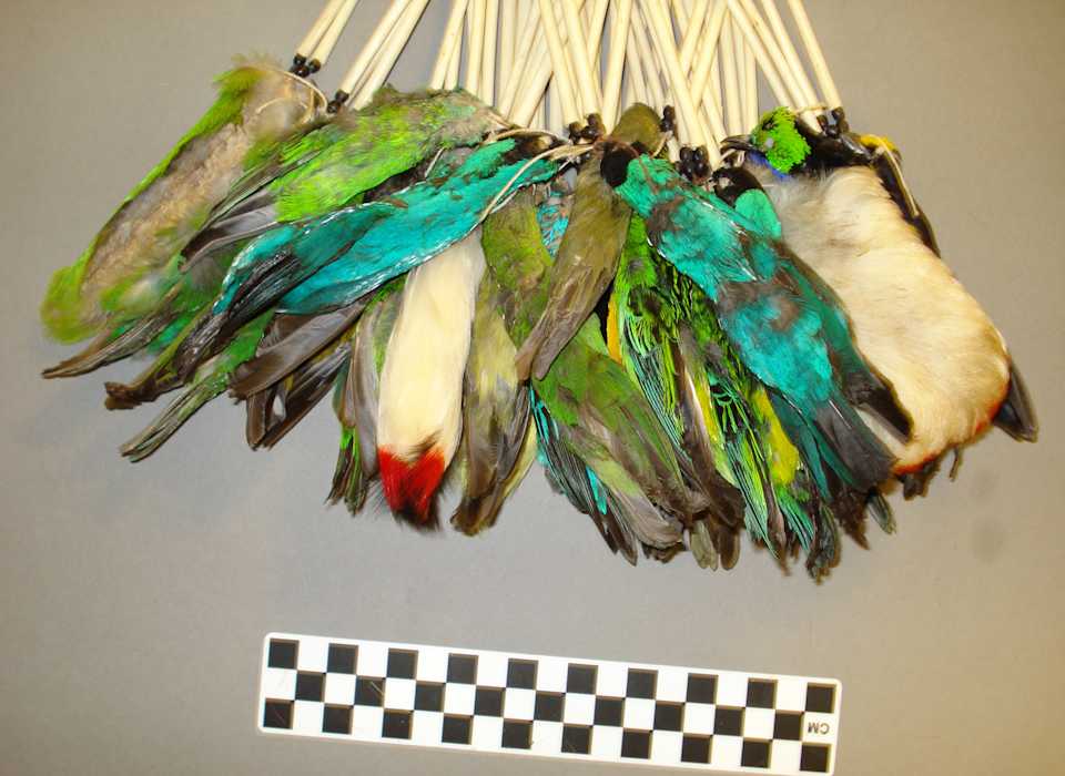 collections/objects/ornament-a2007-4-142