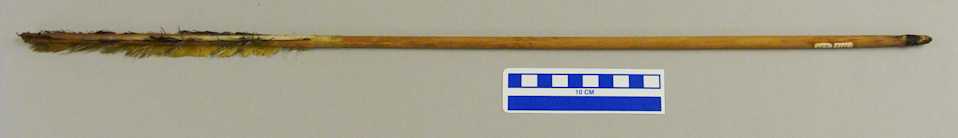 collections/objects/arrow-1-737f