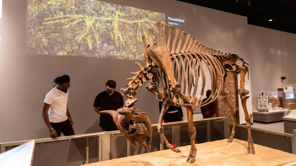 Image of We Move We Stay exhibit