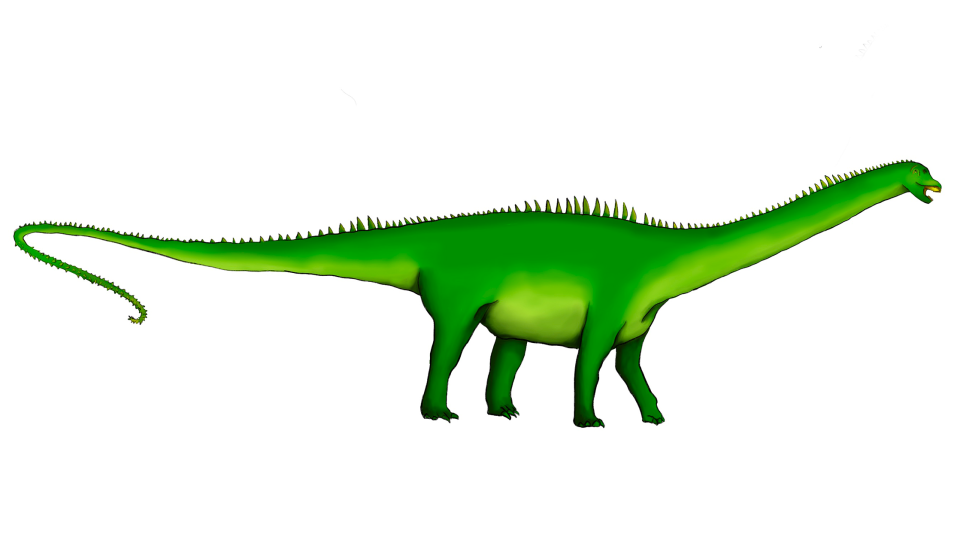Illustration of Diplodocus dinosaur