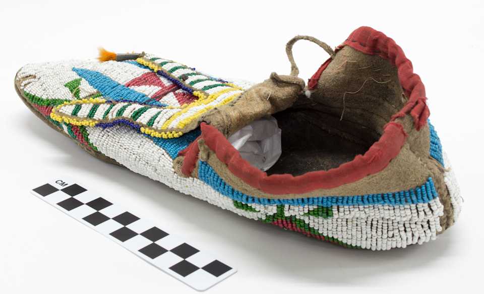 collections/objects/shoe-1-1021b