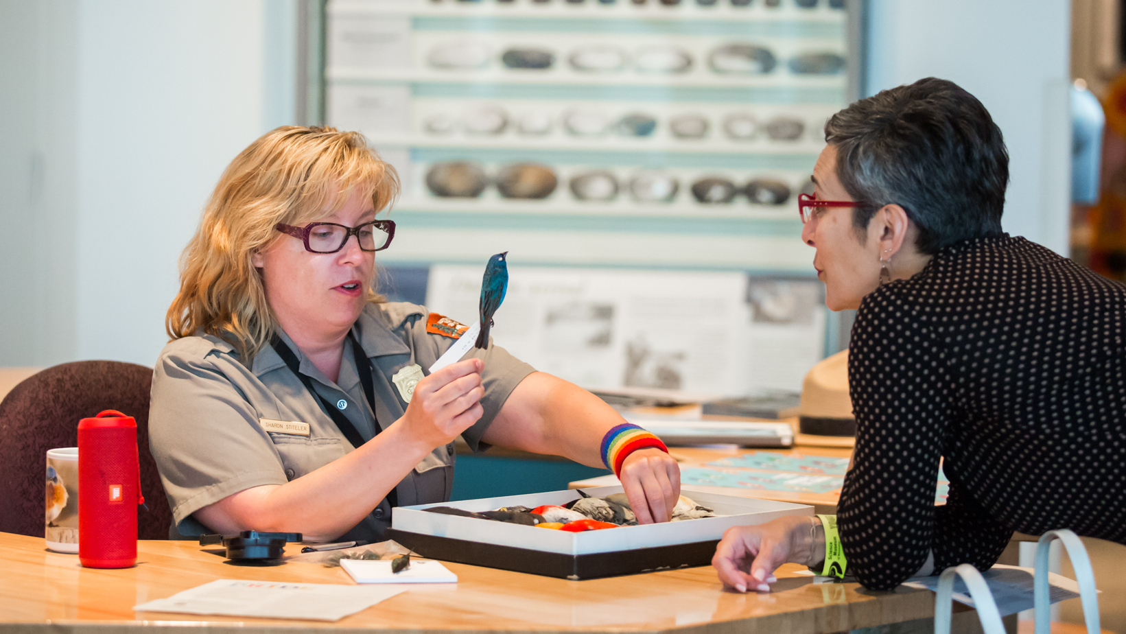 Two people observe a bird study skin in the Mississippi River Gallery