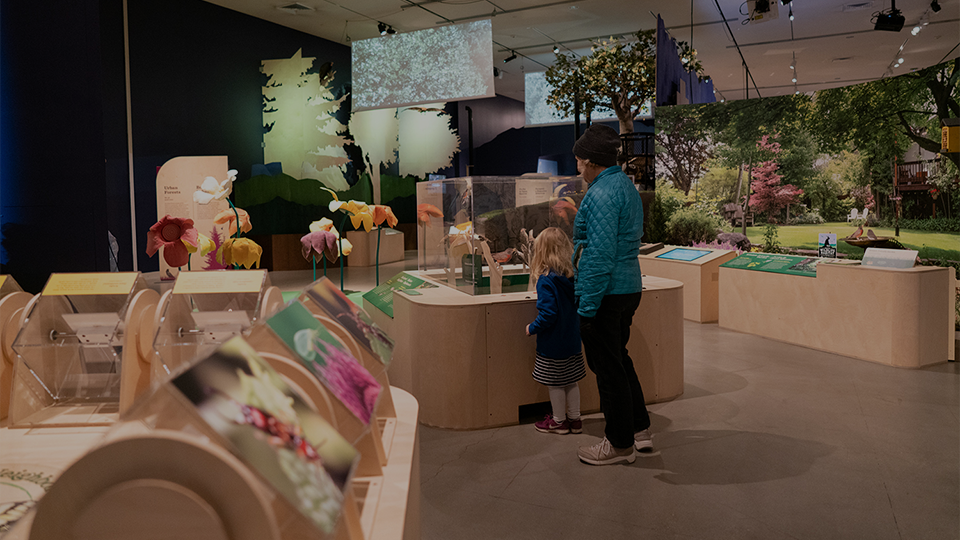 Image of a woman and child looking at Nature Is All Around Us exhibit