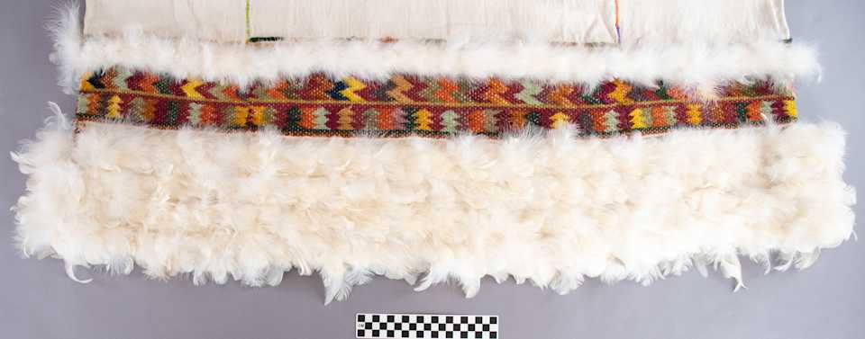 collections/objects/shirt-a89-1-17