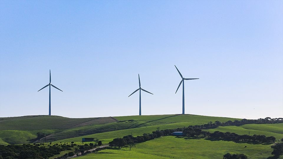 Three wind generators can be seen in the distance with blue skies in the background and green fields in the foreground.