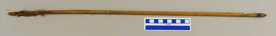 collections/objects/arrow-1-737l