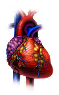 asset Habits of the Heart test image 2
