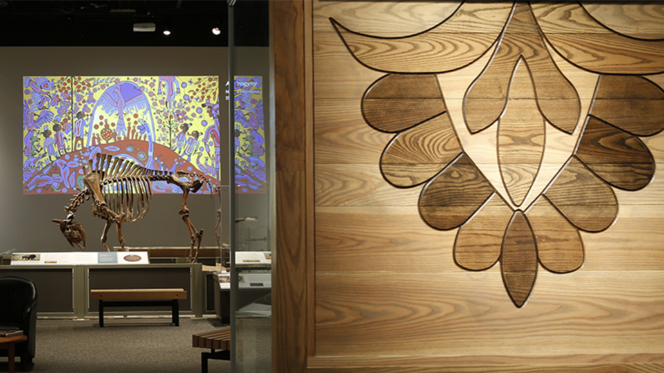 A photo taken in the We Move and We Stay exhibit.