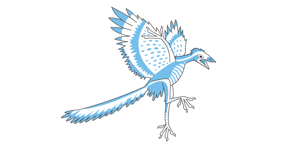 PNG Drawing of a Archaeopteryx