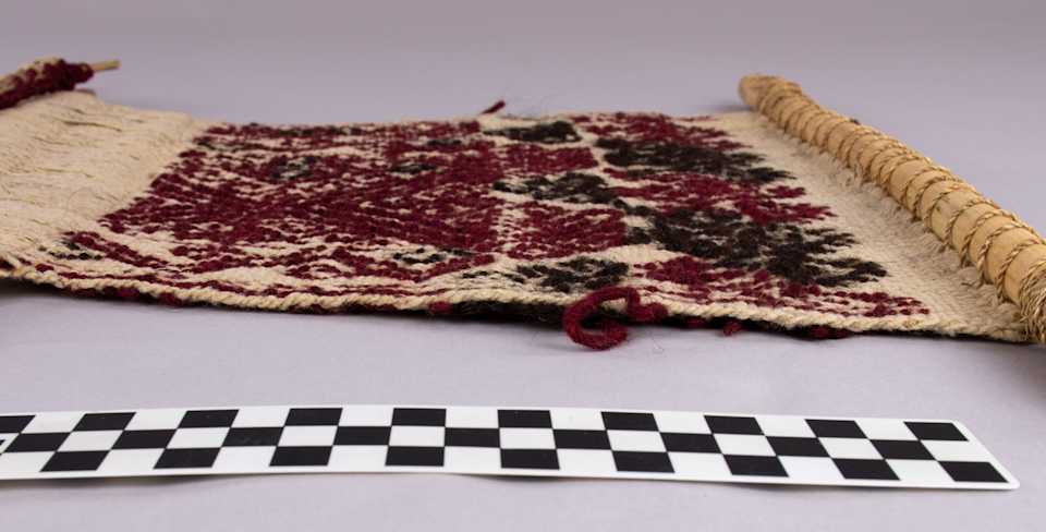 collections/objects/cloth-a79-1-8a