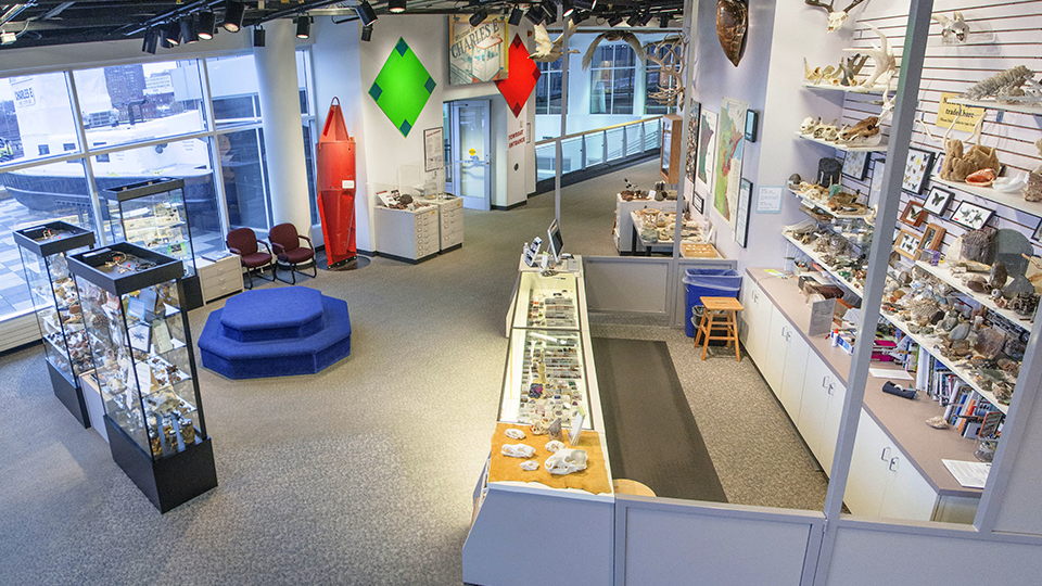 A wide shot of the Collectors' Corner. 