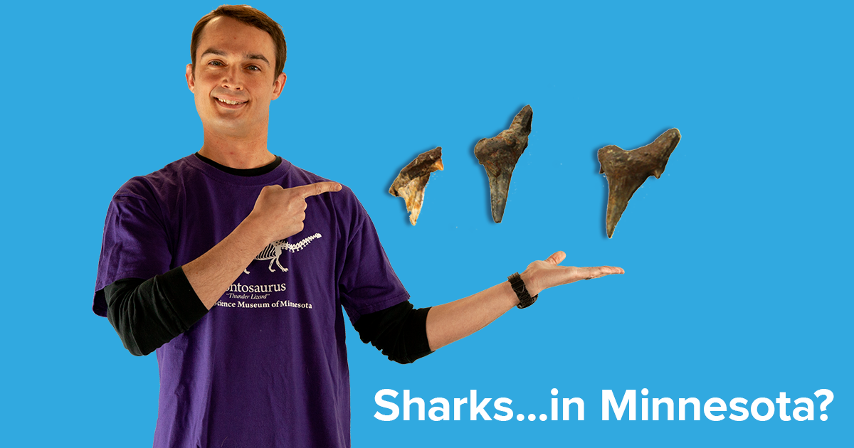 Dr. Alex Hastings holding fossilized shark teeth