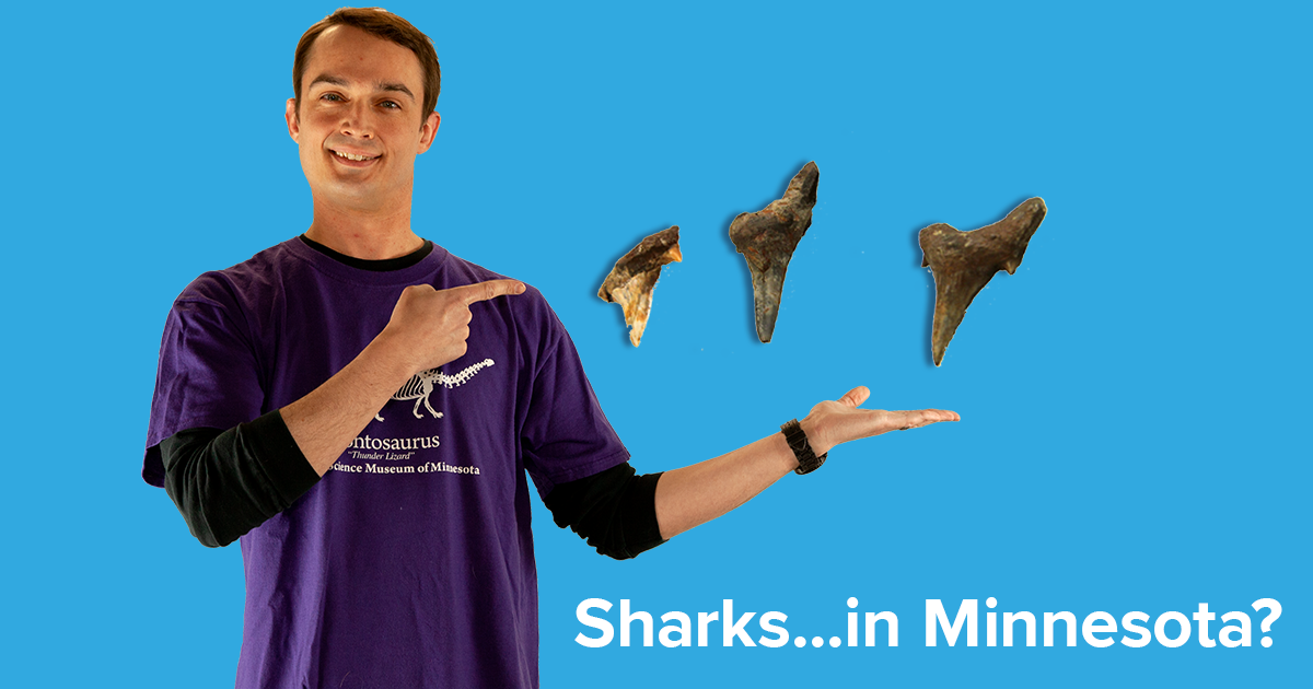 asset Dr. Alex Hastings holding fossilized shark teeth