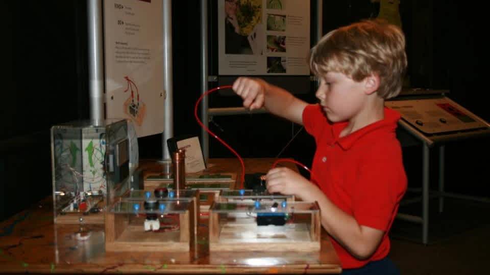 A child interacts with the science and art exhibit. 