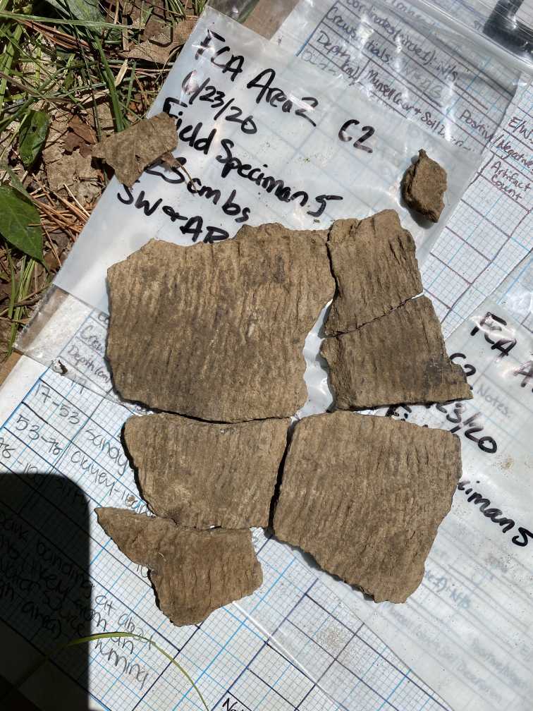 Pieces of a broken clay vessel, recovered in the archaeology field school.